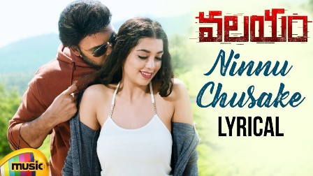 Ninnu Chusake Song Lyrics