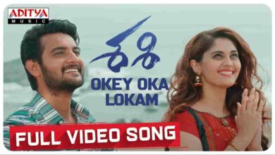 Okey Oka Lokam Song Lyrics