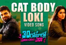 Cat Body Loki Song Lyrics