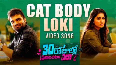 Cat Body Loki Song Lyrics