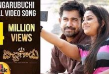 Nenu Tingarubuchi Song Lyrics