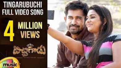 Nenu Tingarubuchi Song Lyrics