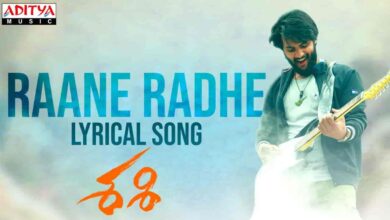 Raane Radhe Song Lyrics