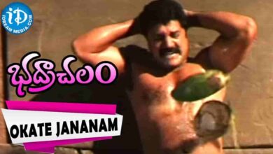 Okate Jananam Song Lyrics