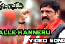 Palle Kanniru Song Lyrics