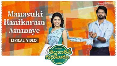 Manasuki Hanikaram Ammaye Song Lyrics