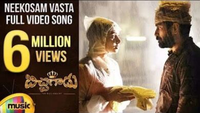 Neekosam Vasta Song Lyrics