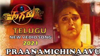 Praanamichinaavu Song Lyrics