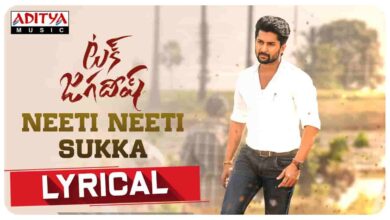 Neeti Neeti Sukka Song Lyrics