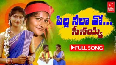 Pilla Neelatho Seenayya Song Lyrics