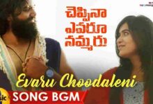 Evaru Choodaleni Song Lyrics