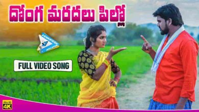 Donga Marudalu Pillo Song Lyrics