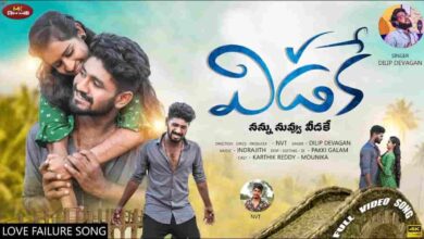 Veedake Nuvvu Nannu Song Lyrics