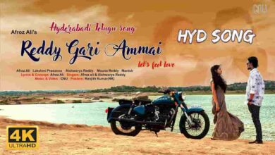 Reddy Gari Ammai Song Lyrics