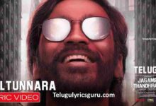 Veltunnara Song Lyrics in Telugu