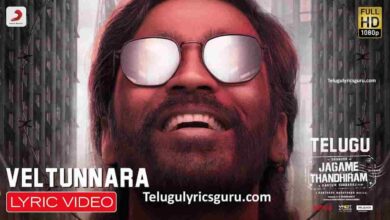 Veltunnara Song Lyrics in Telugu