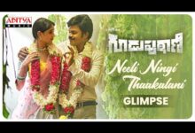 Neeli Ningi Thaakalani Song Lyrics