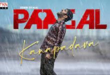 Kanabadava Kanabadava Song Lyrics Paagal Movie Song Lyrics