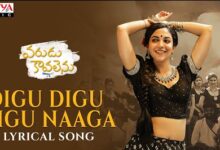 Digu Digu Digu Naaga Song Lyrics in Telugu Varudu Kaavalenu Song Lyrics