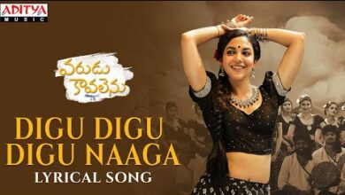 Digu Digu Digu Naaga Song Lyrics in Telugu Varudu Kaavalenu Song Lyrics