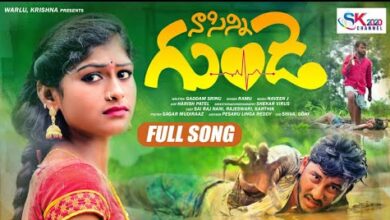 Na sinny gunde Song Lyrics Telugu Love Failure Song Lyrics