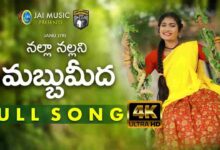 Nalla Nallani Mabbumidha Song Lyrics in Telugu