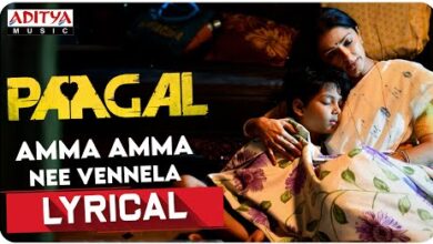 Amma Amma Nee Vennela Song Lyrics అమ్మ అమ్మ నీ వెన్నెల-Paagal
