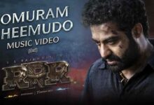 Komuram Bheemudo Song Lyrics in Telugu