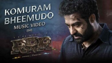 Komuram Bheemudo Song Lyrics in Telugu