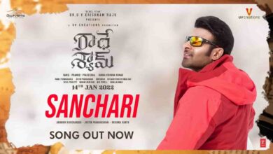 Sanchari Song Lyrics In Telugu