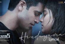 Hrudayama Song Lyrics in Telugu