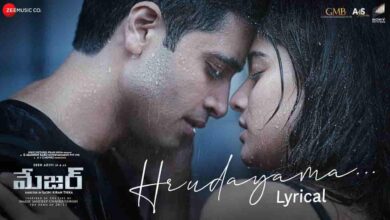 Hrudayama Song Lyrics in Telugu