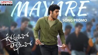 Mayare Song Lyrics in Telugu