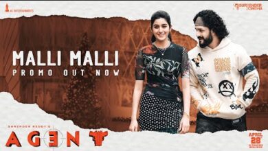 మళ్ళీ మళ్ళీ సాంగ్ లిరిక్స్ Malli Malli Song Lyrics-Agent