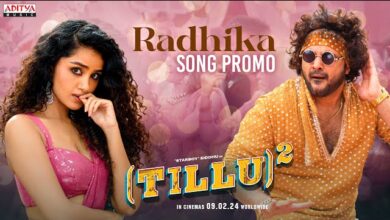 Radhika Song Lyrics in Telugu-Tillu Square 